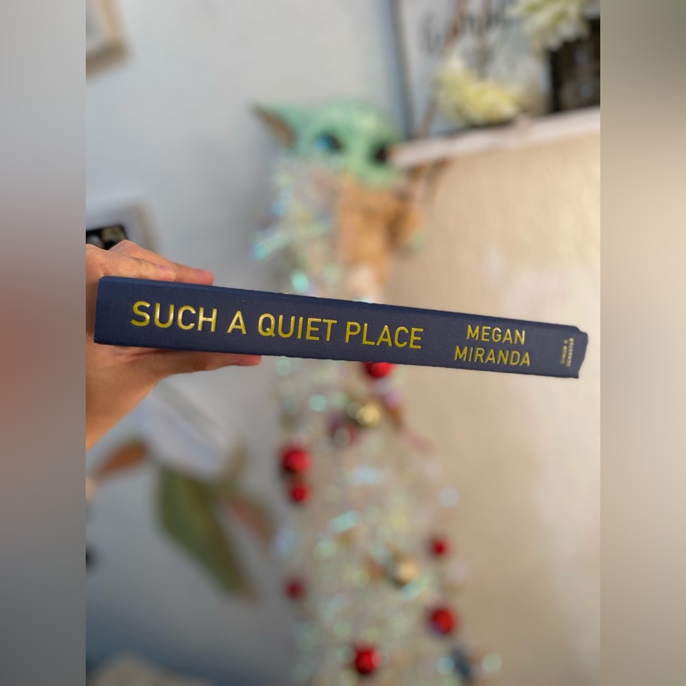 Such a Quiet Place - Megan Miranda 📖